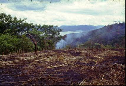 Ordenamiento ecológico e impacto ambiental Ordenamiento ecológico e impacto ambiental