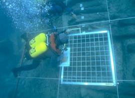 Nitrox para Buceo Científico